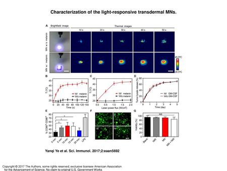 Characterization of the light-responsive transdermal MNs.