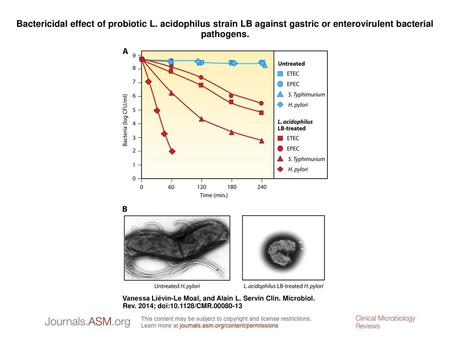 Bactericidal effect of probiotic L