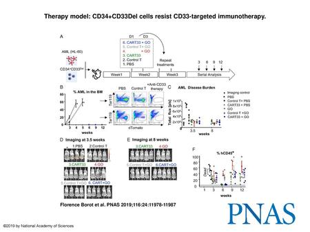 Therapy model: CD34+CD33Del cells resist CD33-targeted immunotherapy.