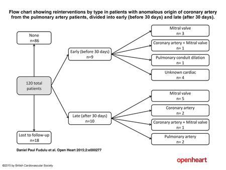 Flow chart showing reinterventions by type in patients with anomalous origin of coronary artery from the pulmonary artery patients, divided into early.