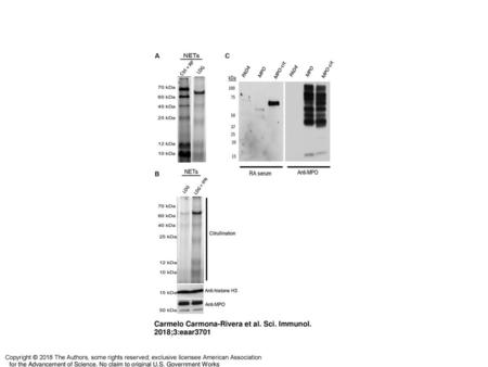 Carmelo Carmona-Rivera et al. Sci. Immunol. 2018;3:eaar3701