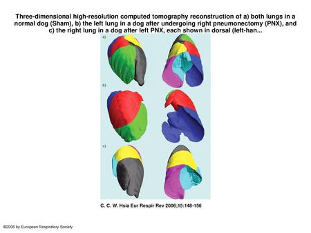 Three-dimensional high-resolution computed tomography reconstruction of a) both lungs in a normal dog (Sham), b) the left lung in a dog after undergoing.