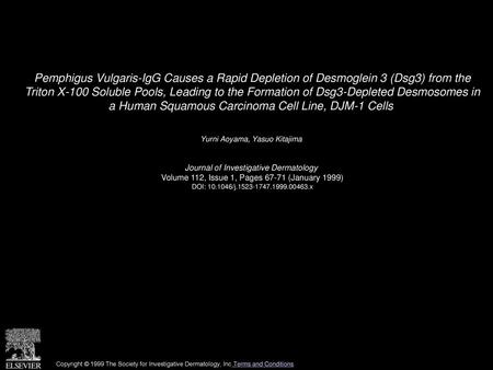 Pemphigus Vulgaris-IgG Causes a Rapid Depletion of Desmoglein 3 (Dsg3) from the Triton X-100 Soluble Pools, Leading to the Formation of Dsg3-Depleted.