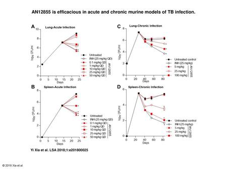 AN12855 is efficacious in acute and chronic murine models of TB infection. AN12855 is efficacious in acute and chronic murine models of TB infection. (A,