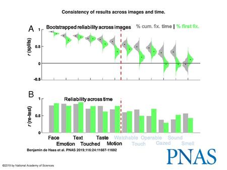 Consistency of results across images and time.