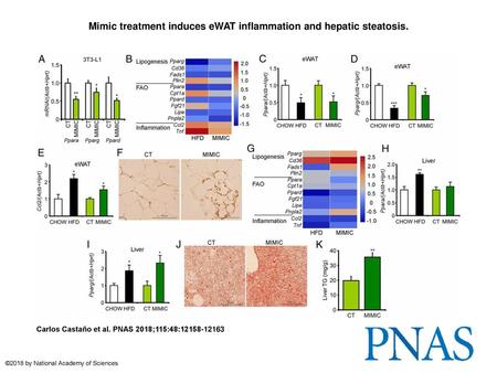 Mimic treatment induces eWAT inflammation and hepatic steatosis.