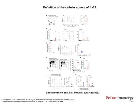 Definition of the cellular source of IL-22.