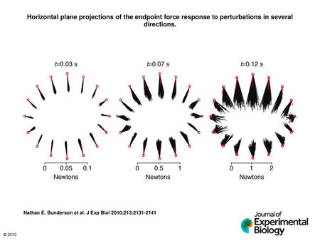 Horizontal plane projections of the endpoint force response to perturbations in several directions. Horizontal plane projections of the endpoint force.