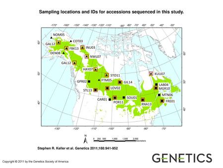 Sampling locations and IDs for accessions sequenced in this study.