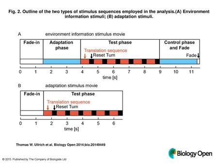 Fig. 2. Outline of the two types of stimulus sequences employed in the analysis.(A) Environment information stimuli; (B) adaptation stimuli. Outline of.