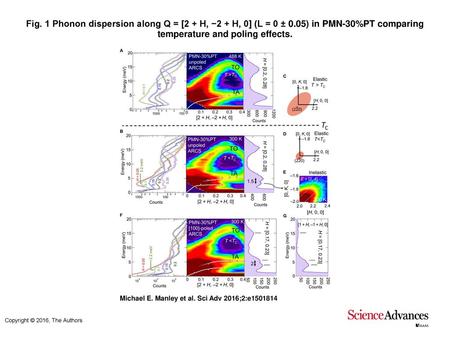 Fig. 1 Phonon dispersion along Q = [2 + H, −2 + H, 0] (L = 0 ± 0