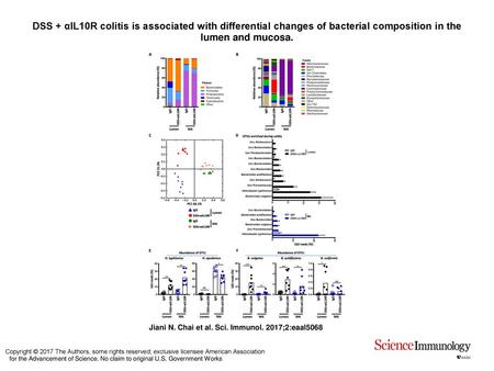 DSS + αIL10R colitis is associated with differential changes of bacterial composition in the lumen and mucosa. DSS + αIL10R colitis is associated with.