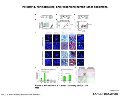 Instigating, noninstigating, and responding human tumor specimens.