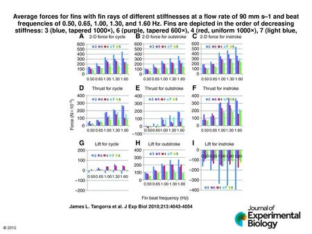 Average forces for fins with fin rays of different stiffnesses at a flow rate of 90 mm s–1 and beat frequencies of 0.50, 0.65, 1.00, 1.30, and 1.60 Hz.