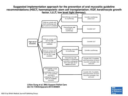 Suggested implementation approach for the prevention of oral mucositis guideline recommendations (HSCT, haematopoietic stem cell transplantation; KGF,