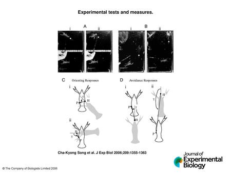 Experimental tests and measures.