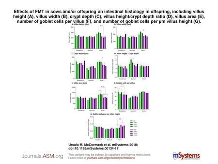 Effects of FMT in sows and/or offspring on intestinal histology in offspring, including villus height (A), villus width (B), crypt depth (C), villus height/crypt.