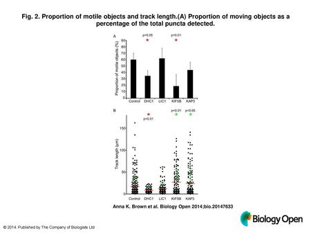 Fig. 2. Proportion of motile objects and track length