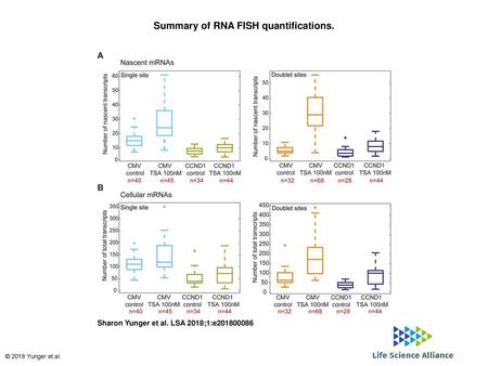 Summary of RNA FISH quantifications.