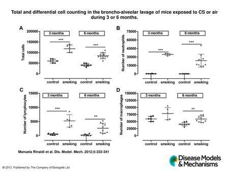 Total and differential cell counting in the broncho-alveolar lavage of mice exposed to CS or air during 3 or 6 months. Total and differential cell counting.