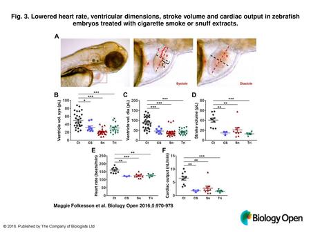 Fig. 3. Lowered heart rate, ventricular dimensions, stroke volume and cardiac output in zebrafish embryos treated with cigarette smoke or snuff extracts.