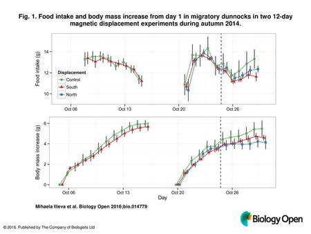 Fig. 1. Food intake and body mass increase from day 1 in migratory dunnocks in two 12-day magnetic displacement experiments during autumn 2014. Food intake.