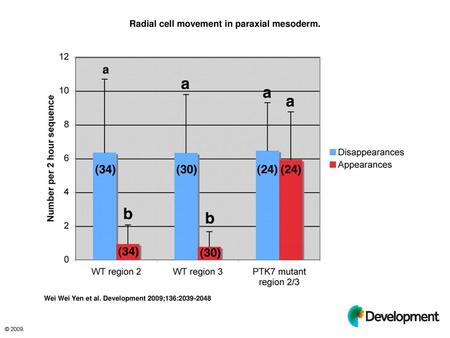 Radial cell movement in paraxial mesoderm.