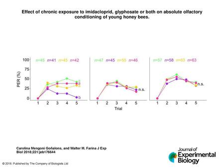 Effect of chronic exposure to imidacloprid, glyphosate or both on absolute olfactory conditioning of young honey bees. Effect of chronic exposure to imidacloprid,