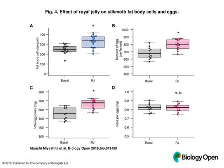 Fig. 4. Effect of royal jelly on silkmoth fat body cells and eggs.