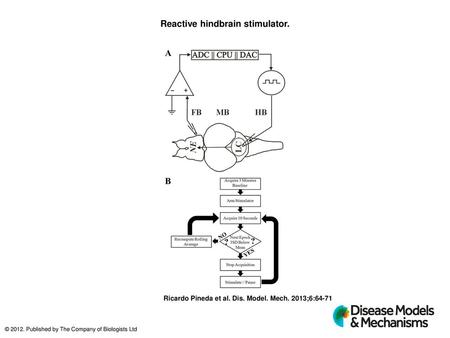 Reactive hindbrain stimulator.