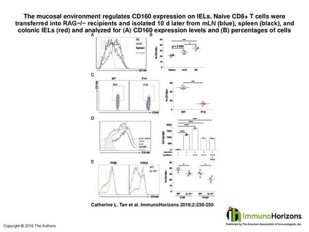 The mucosal environment regulates CD160 expression on IELs