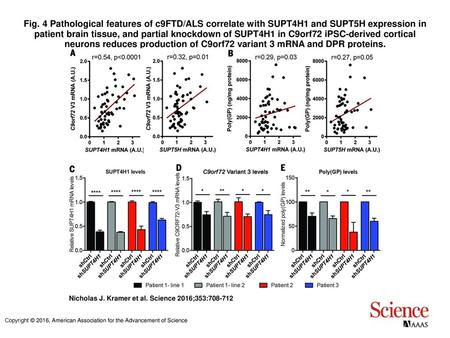 Fig. 4 Pathological features of c9FTD/ALS correlate with SUPT4H1 and SUPT5H expression in patient brain tissue, and partial knockdown of SUPT4H1 in C9orf72.