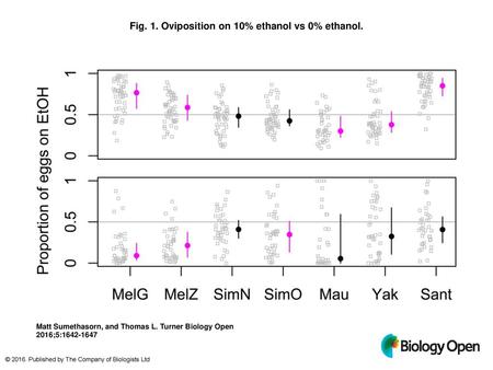 Fig. 1. Oviposition on 10% ethanol vs 0% ethanol.