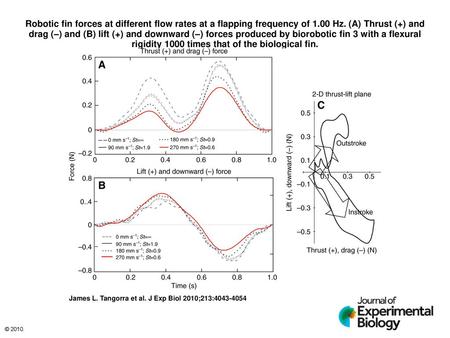 Robotic fin forces at different flow rates at a flapping frequency of 1.00 Hz. (A) Thrust (+) and drag (–) and (B) lift (+) and downward (–) forces produced.