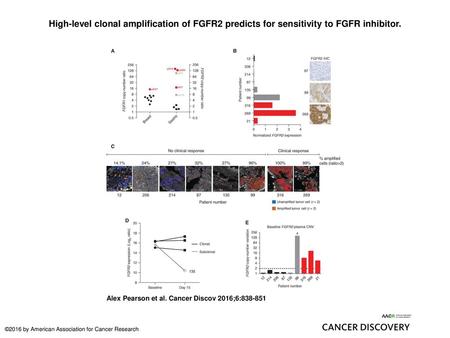 High-level clonal amplification of FGFR2 predicts for sensitivity to FGFR inhibitor. High-level clonal amplification of FGFR2 predicts for sensitivity.