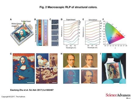 Fig. 2 Macroscopic RLP of structural colors.