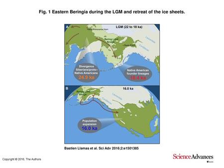 Fig. 1 Eastern Beringia during the LGM and retreat of the ice sheets.