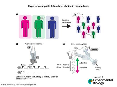 Experience impacts future host choice in mosquitoes.