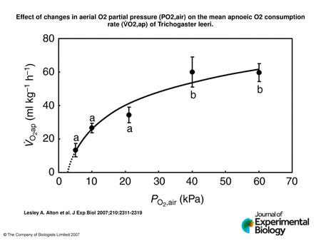 Effect of changes in aerial O2 partial pressure (PO2,air) on the mean apnoeic O2 consumption rate (V̇O2,ap) of Trichogaster leeri. Effect of changes in.