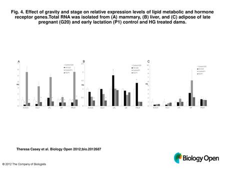 Fig. 4. Effect of gravity and stage on relative expression levels of lipid metabolic and hormone receptor genes.Total RNA was isolated from (A) mammary,