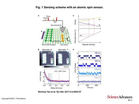 Fig. 1 Sensing scheme with an atomic spin sensor.