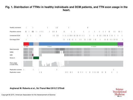 Fig. 1. Distribution of TTNtv in healthy individuals and DCM patients, and TTN exon usage in the heart. Distribution of TTNtv in healthy individuals and.