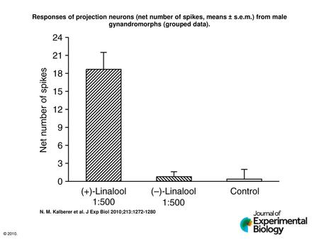 Responses of projection neurons (net number of spikes, means ± s. e. m