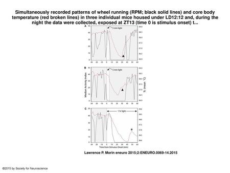 Simultaneously recorded patterns of wheel running (RPM; black solid lines) and core body temperature (red broken lines) in three individual mice housed.