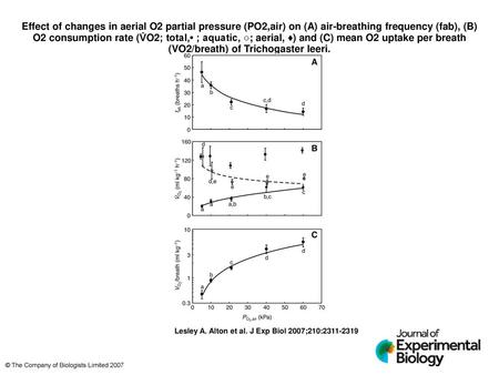 Effect of changes in aerial O2 partial pressure (PO2,air) on (A) air-breathing frequency (fab), (B) O2 consumption rate (V̇O2; total,• ; aquatic, ○; aerial,