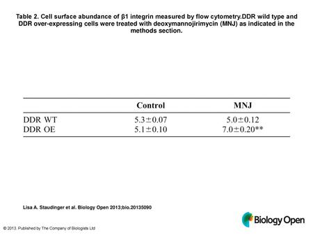 Table 2. Cell surface abundance of β1 integrin measured by flow cytometry.DDR wild type and DDR over-expressing cells were treated with deoxymannojirimycin.