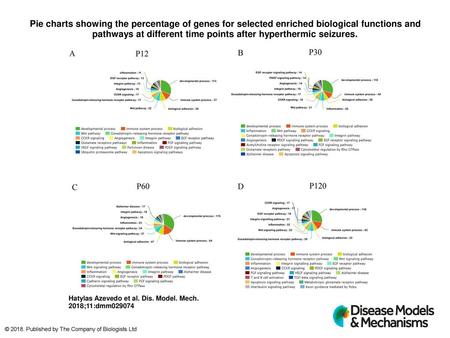 Pie charts showing the percentage of genes for selected enriched biological functions and pathways at different time points after hyperthermic seizures.