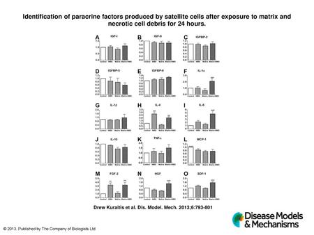 Identification of paracrine factors produced by satellite cells after exposure to matrix and necrotic cell debris for 24 hours. Identification of paracrine.