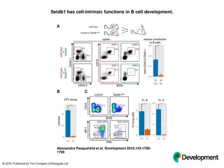 Setdb1 has cell-intrinsic functions in B cell development.