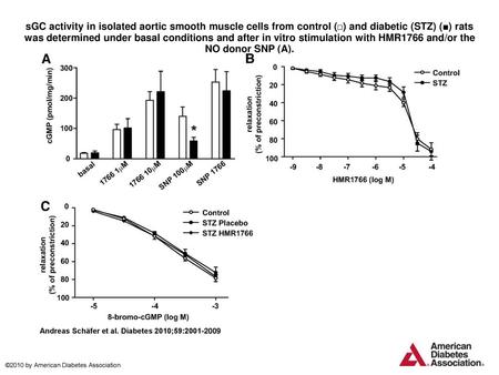 SGC activity in isolated aortic smooth muscle cells from control (□) and diabetic (STZ) (■) rats was determined under basal conditions and after in vitro.